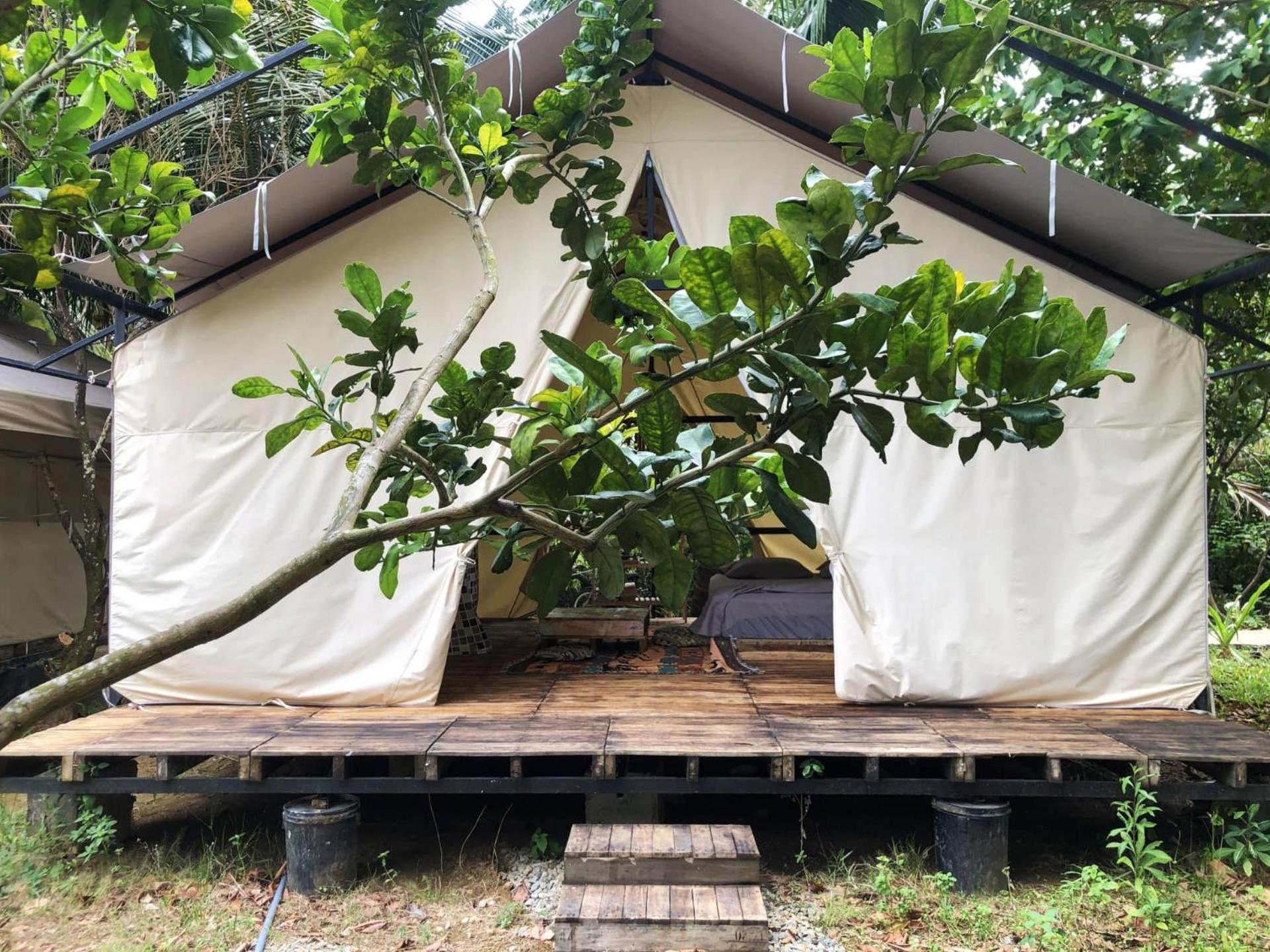 Con Dao Backpacker - Loco Camping Chi Khu Co Ong Exteriör bild