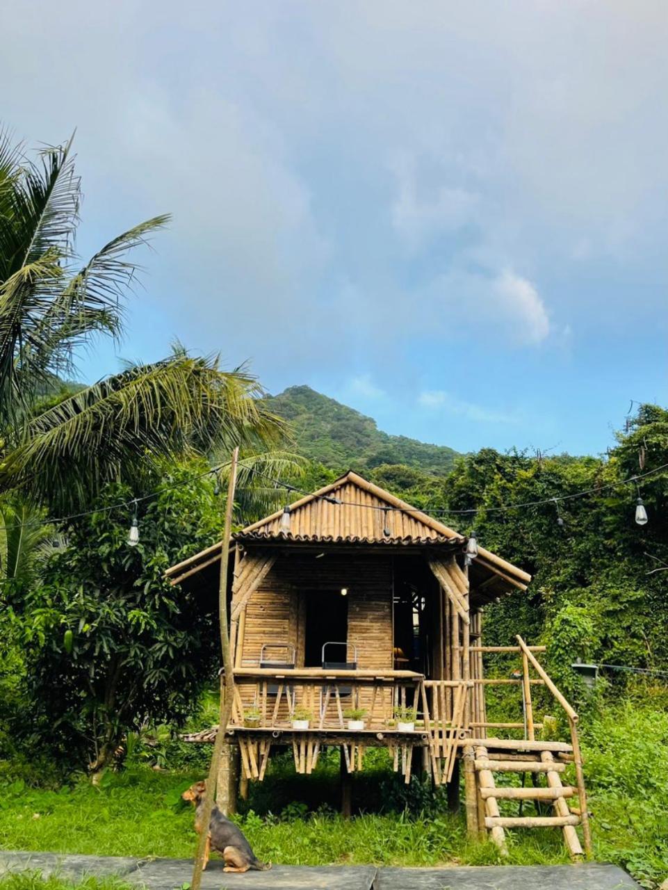 Con Dao Backpacker - Loco Camping Chi Khu Co Ong Exteriör bild